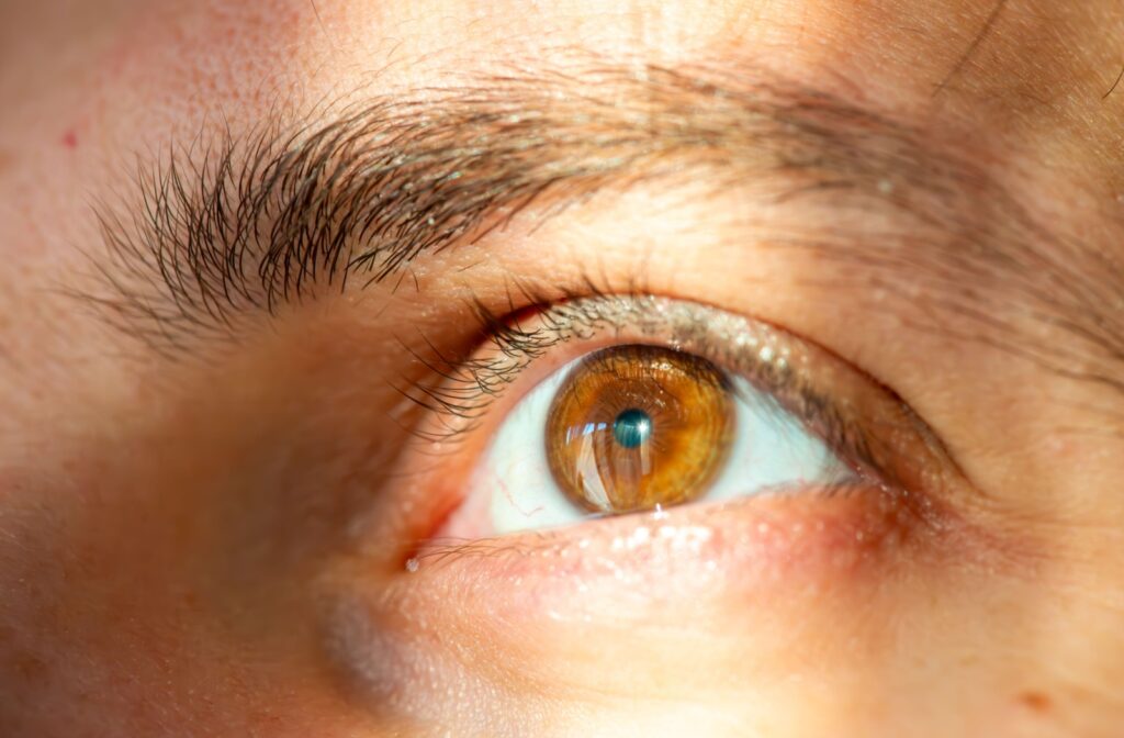 a close-up of an eye in the sunlight